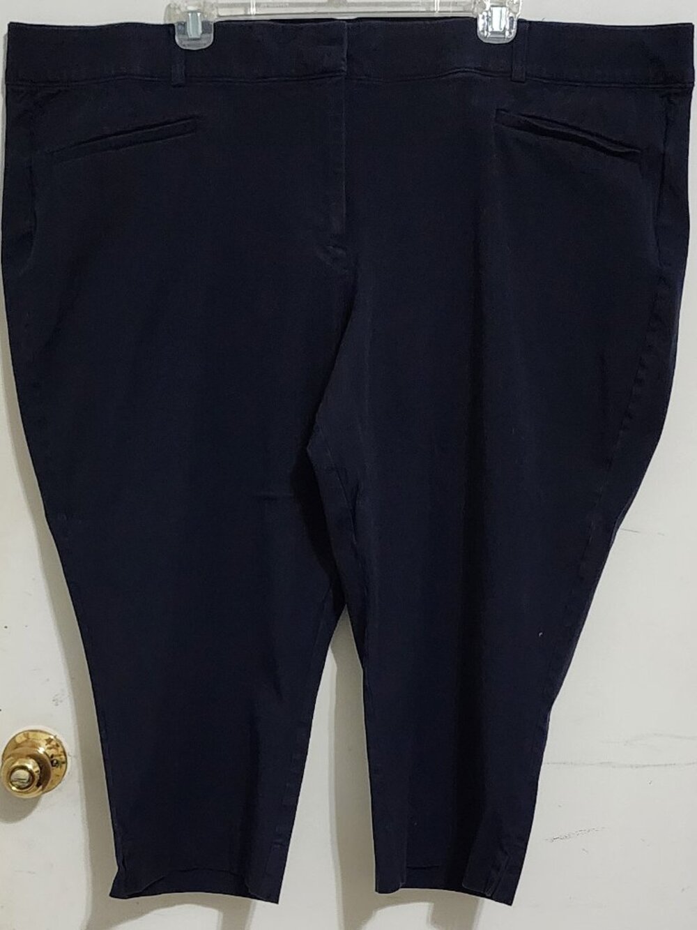 Layne Bryant, Ladies Pants, Size 26 (Plus Size But Not a W)